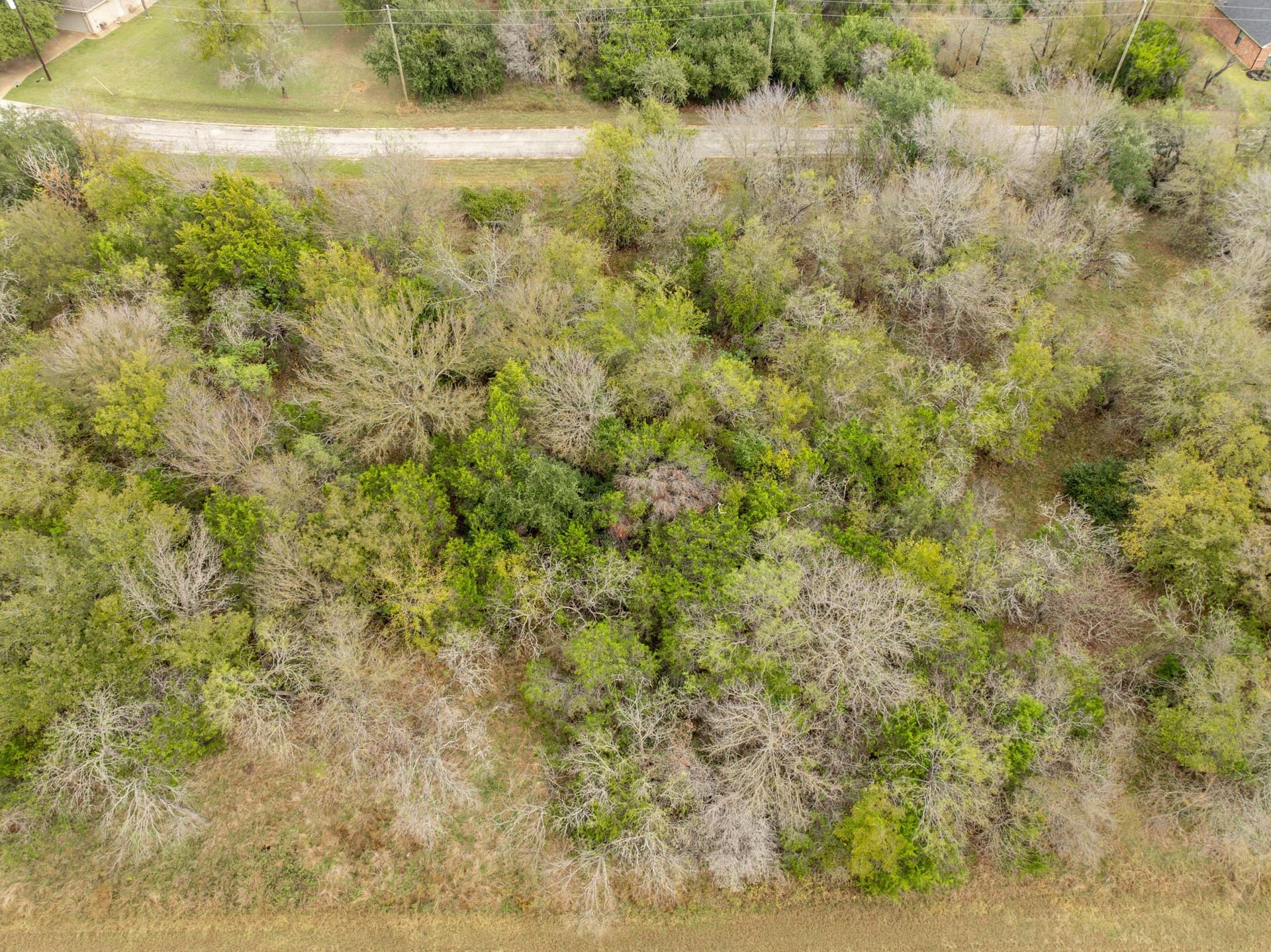 0.15 acres in Hill County gallery image 2