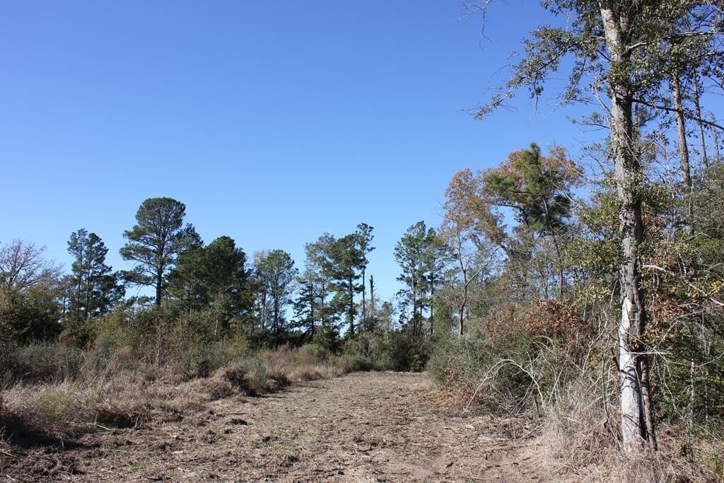 88 acres in Texas County - photo 6