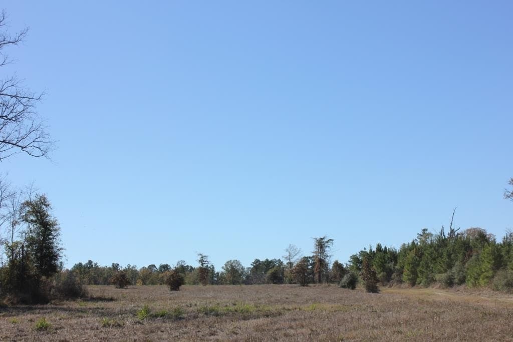 88 acres in Texas County - photo 14
