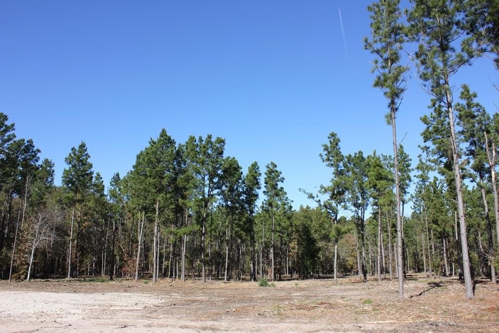 88 acres in Texas County - photo 21