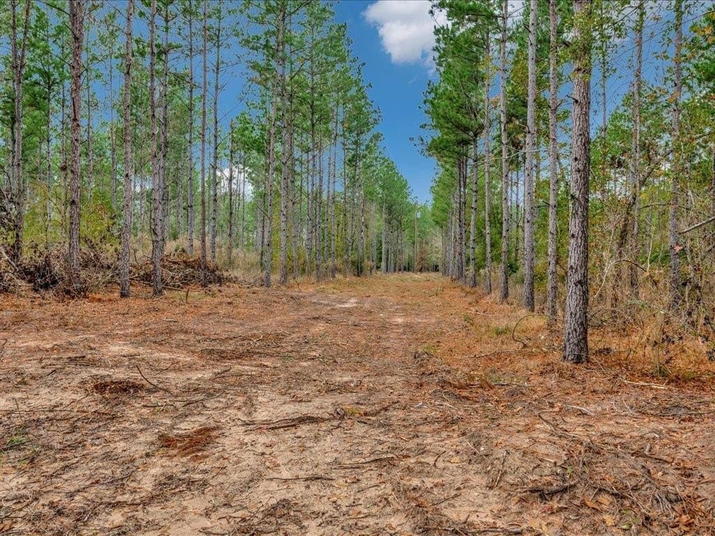88 acres in Texas County