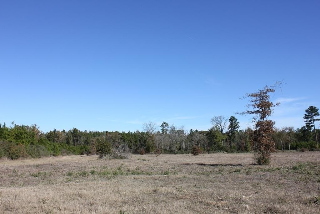 88 acres in Texas County - photo 17