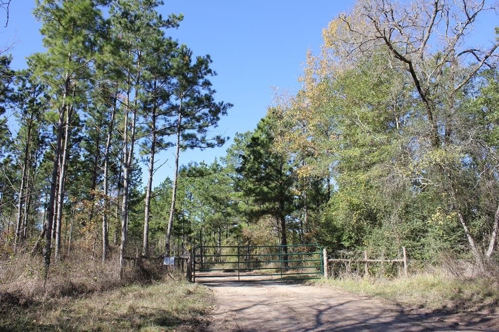 88 acres in Texas County - photo 19