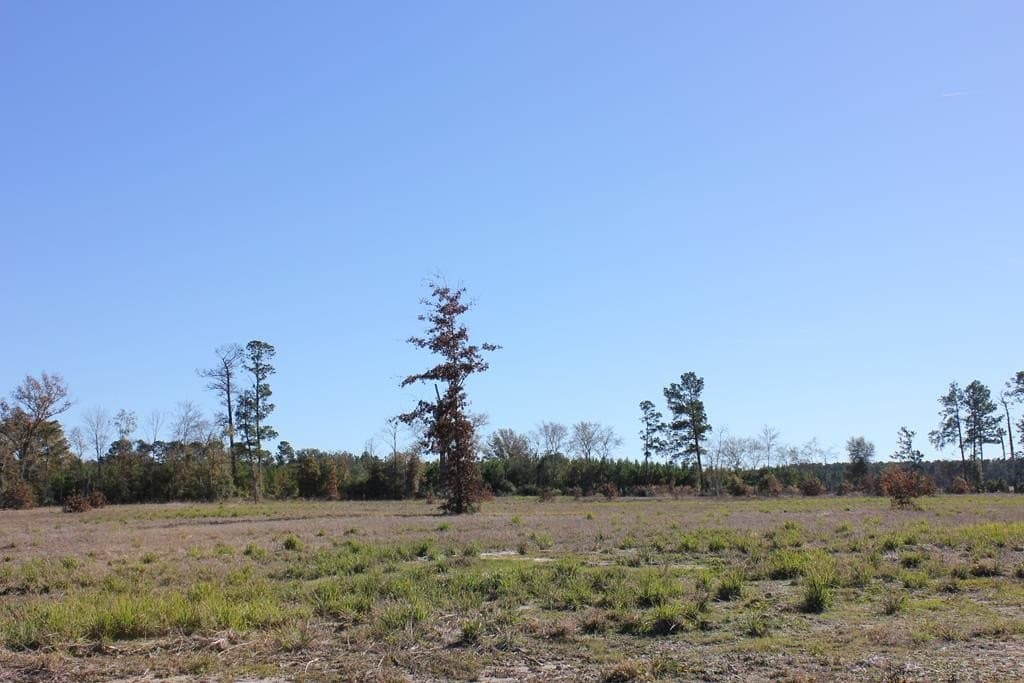 88 acres in Texas County - photo 16