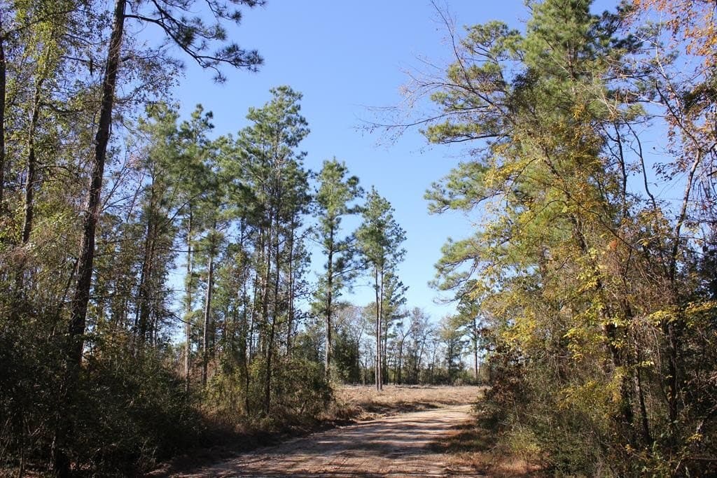 88 acres in Texas County - photo 8