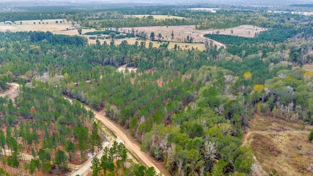 88 acres in Texas County - photo 26