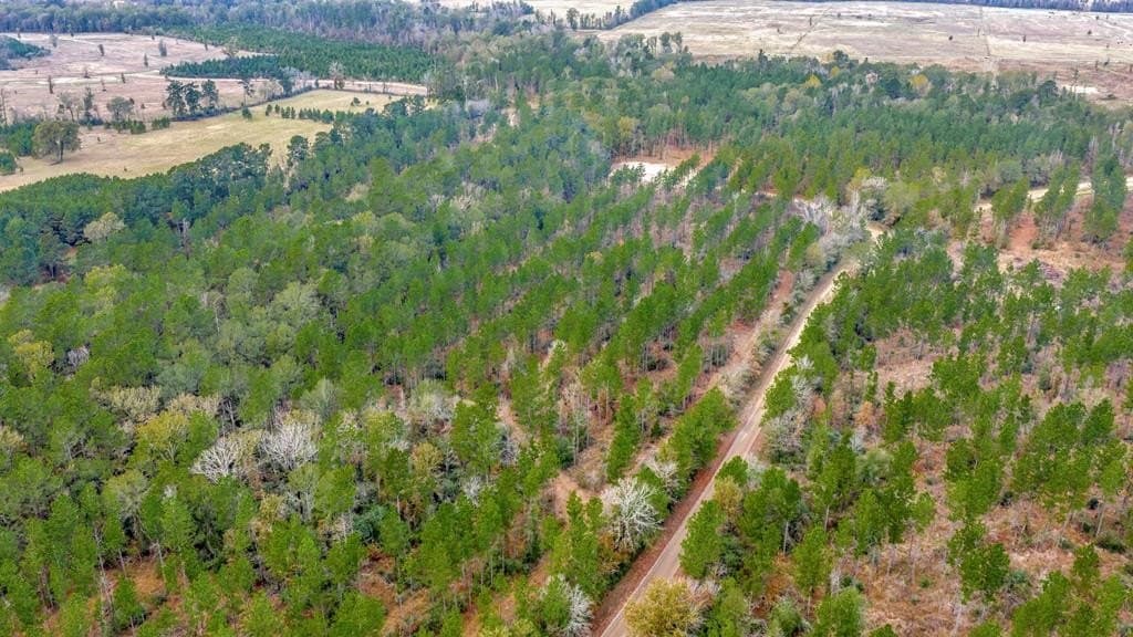 88 acres in Texas County - photo 25