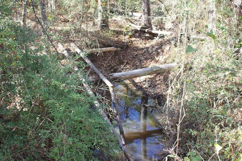 88 acres in Texas County - photo 2