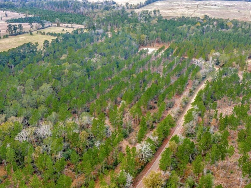 88 acres in Texas County - photo 33