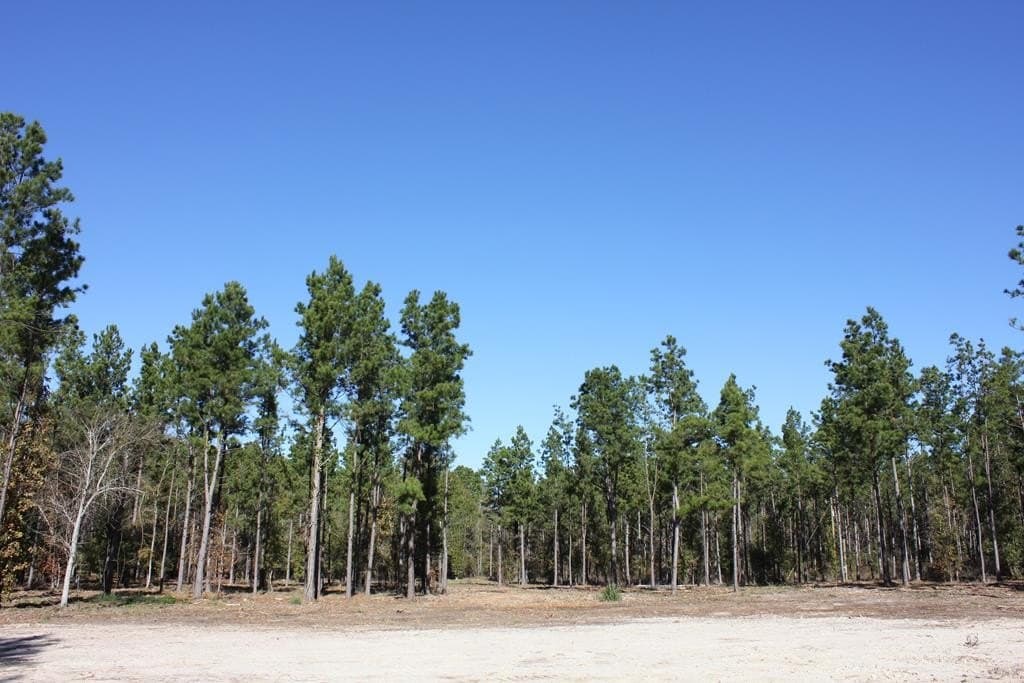 88 acres in Texas County - photo 22