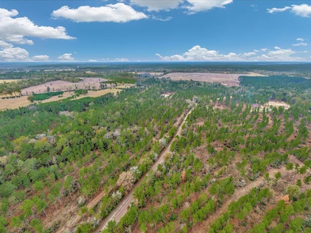 88 acres in Texas County - photo 32