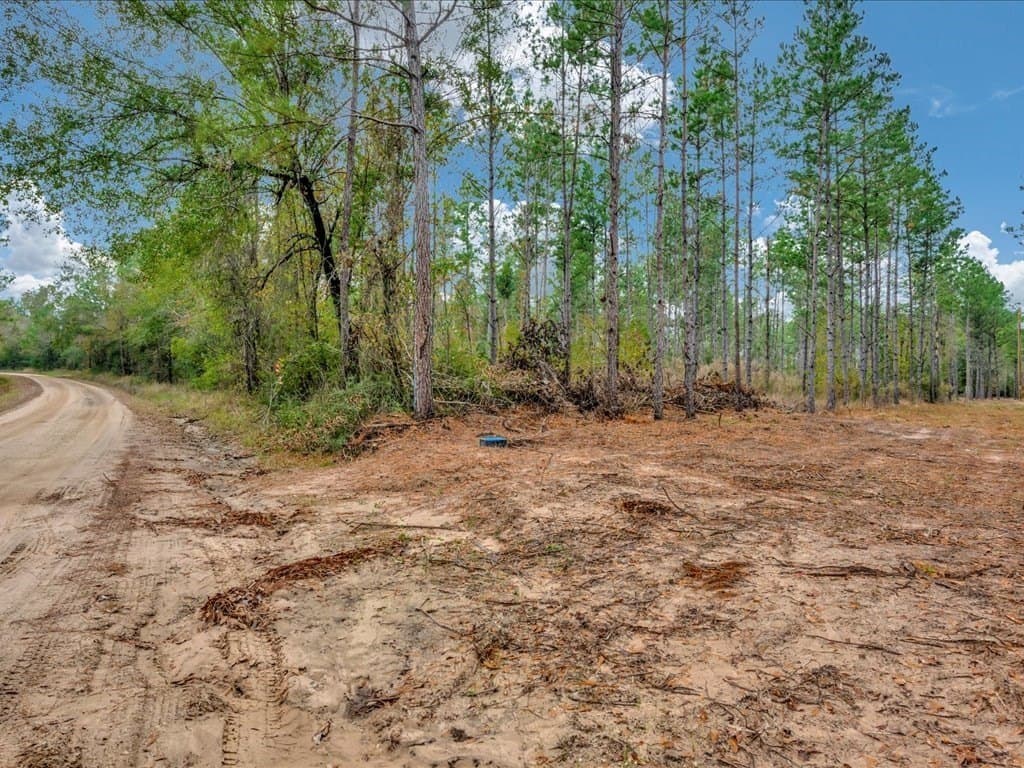 88 acres in Texas County - photo 27