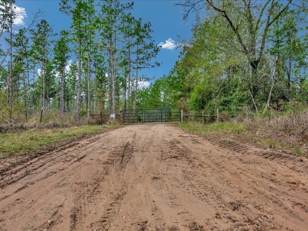 88 acres in Texas County - photo 28