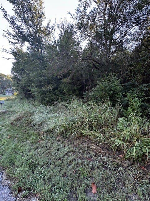 0.17 acres in Parker County - photo 3