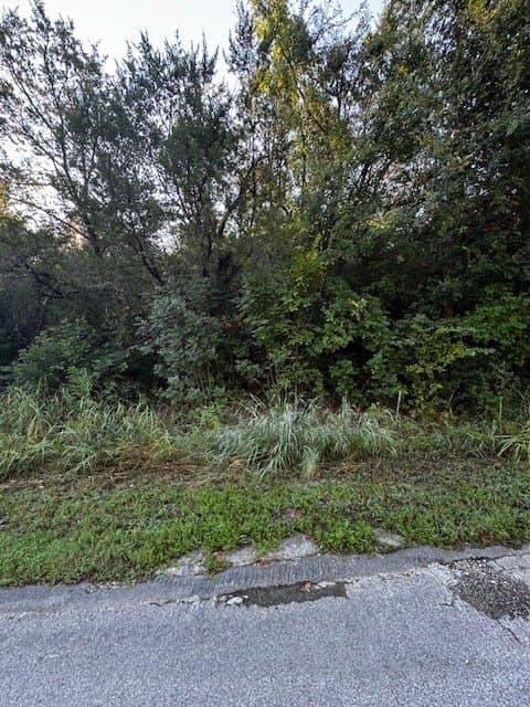 0.17 acres in Parker County - photo 2