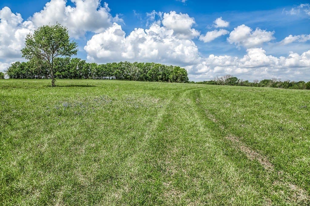 47.72 acres in Washington County gallery image 3