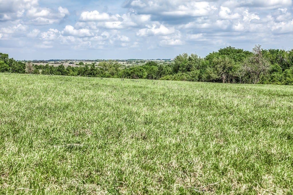 47.72 acres in Washington County gallery image 4