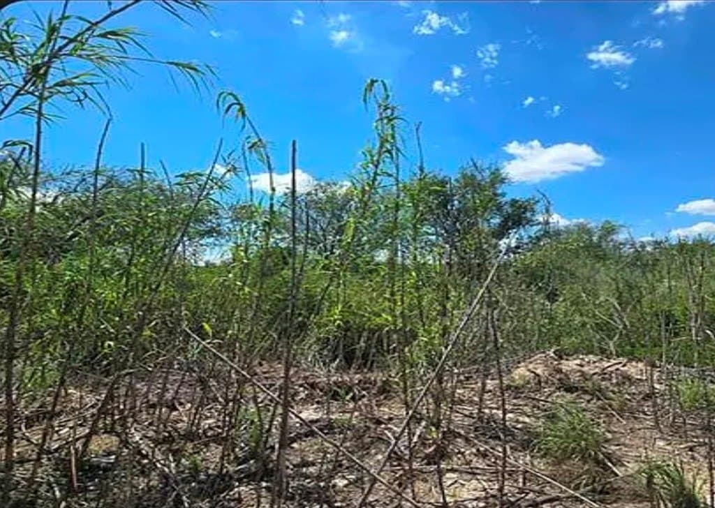 0.69 acres in Val Verde County - photo 6