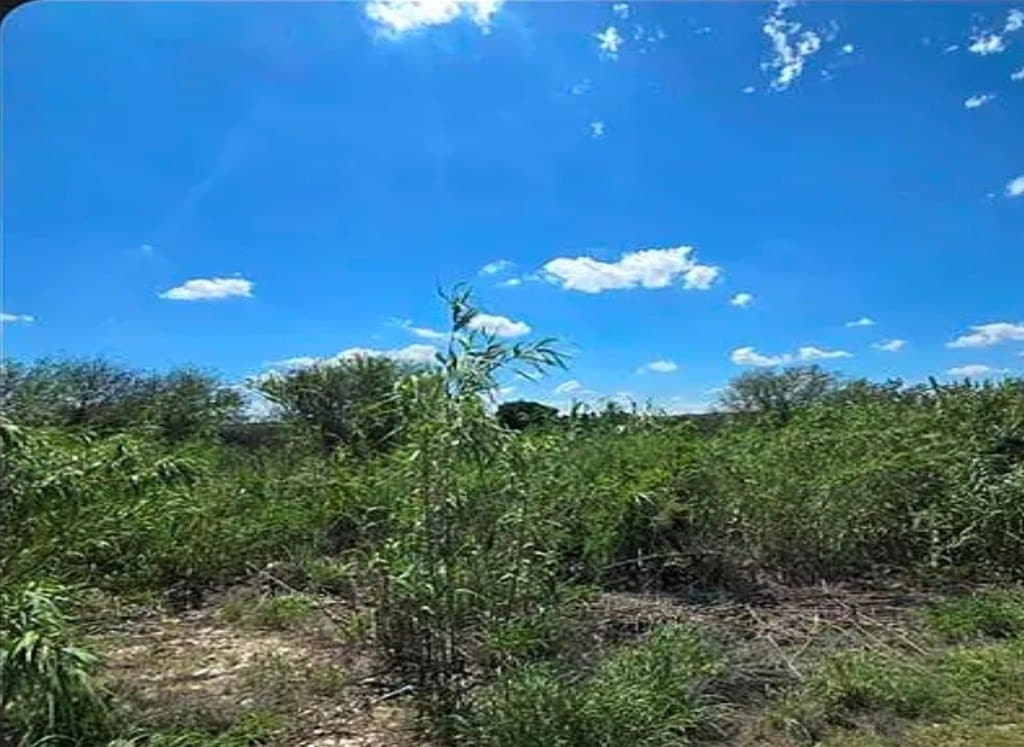 0.69 acres in Val Verde County gallery image 3