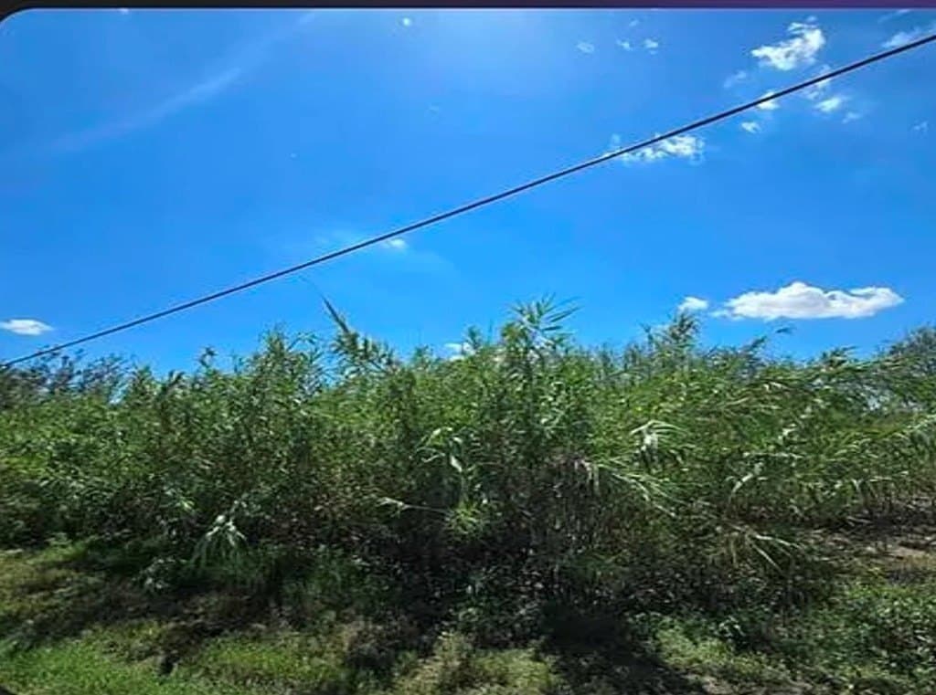0.69 acres in Val Verde County gallery image 4