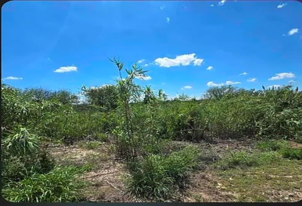 0.69 acres in Val Verde County gallery image 2