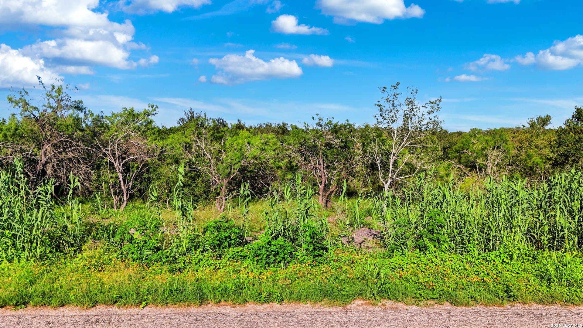 4.56 acres in Guadalupe County