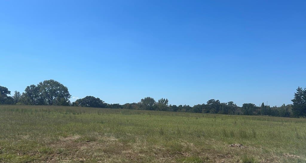 24.95 acres in Henderson County gallery image 2