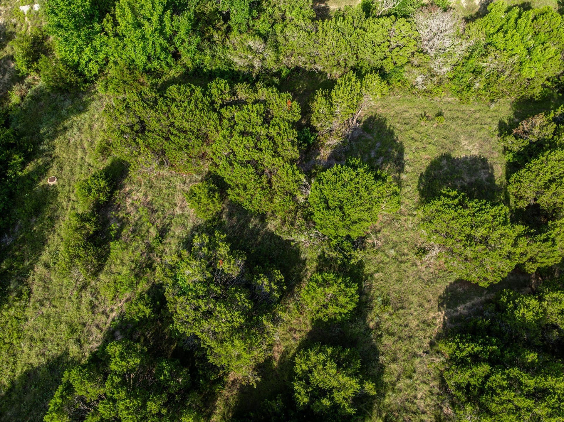 1.47 acres in Somervell County - photo 14