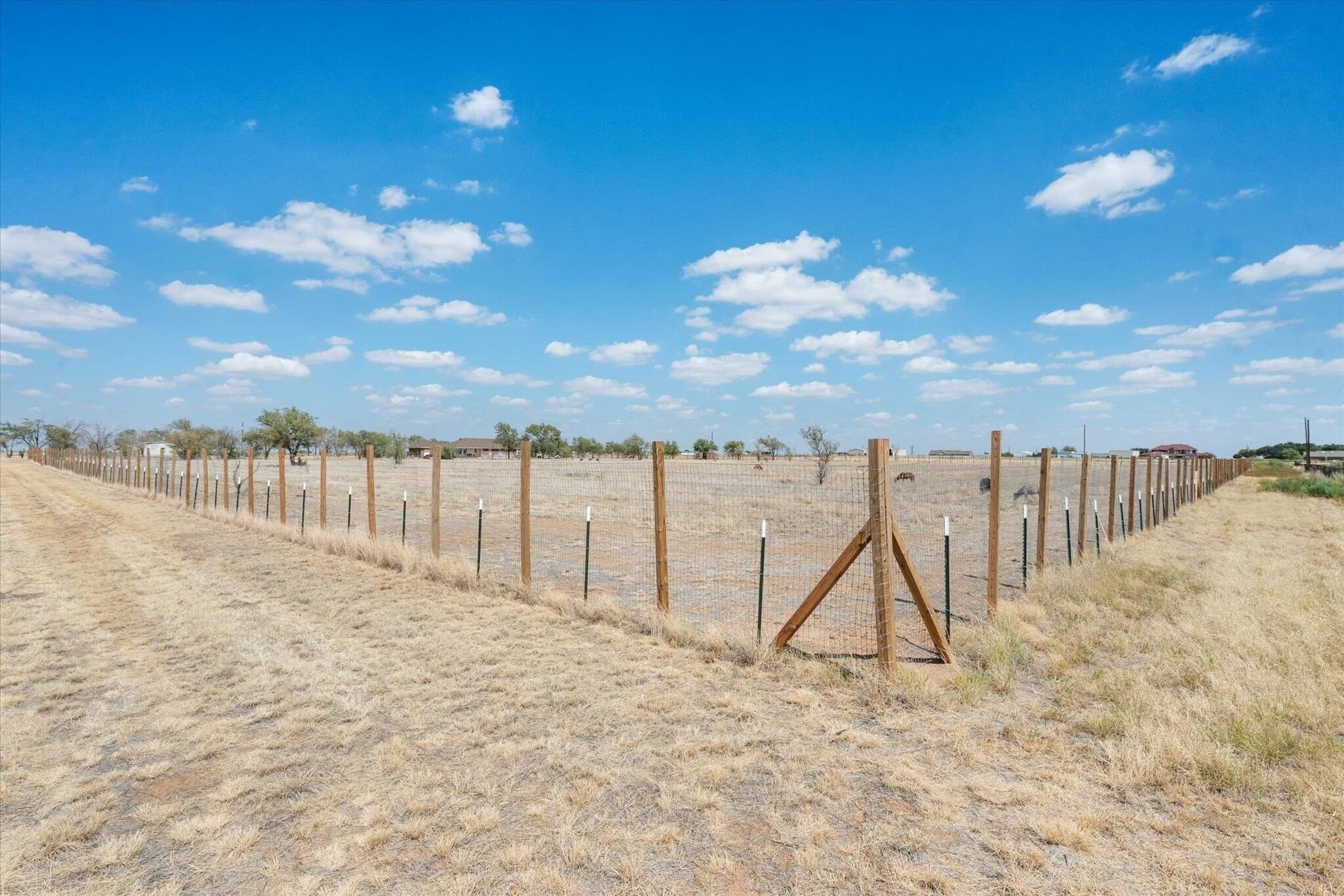22.5 acres in Lubbock County - photo 52
