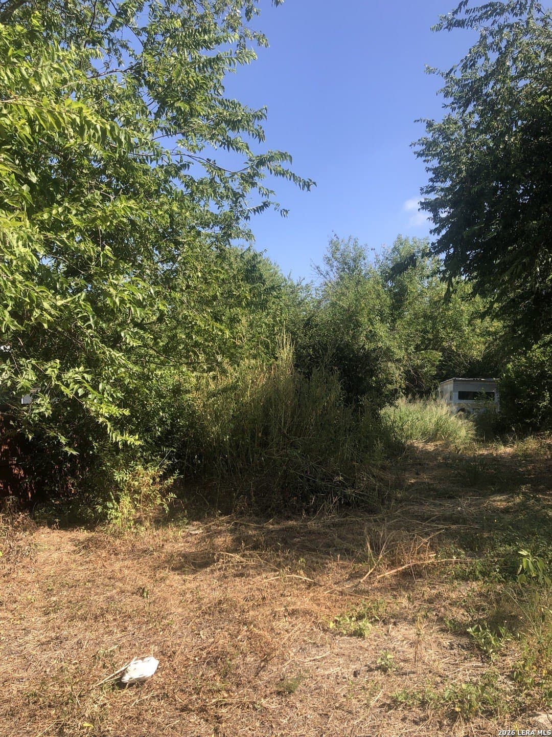 0.19 acres in Bexar County - photo 3