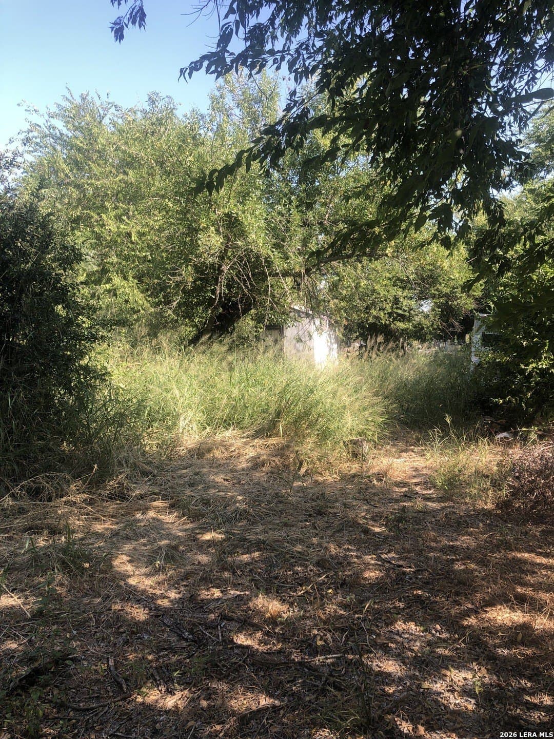 0.19 acres in Bexar County - photo 4