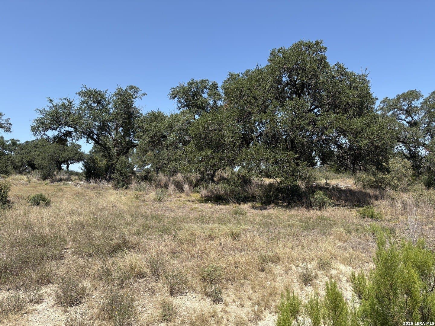 1.27 acres in Comal County - photo 9