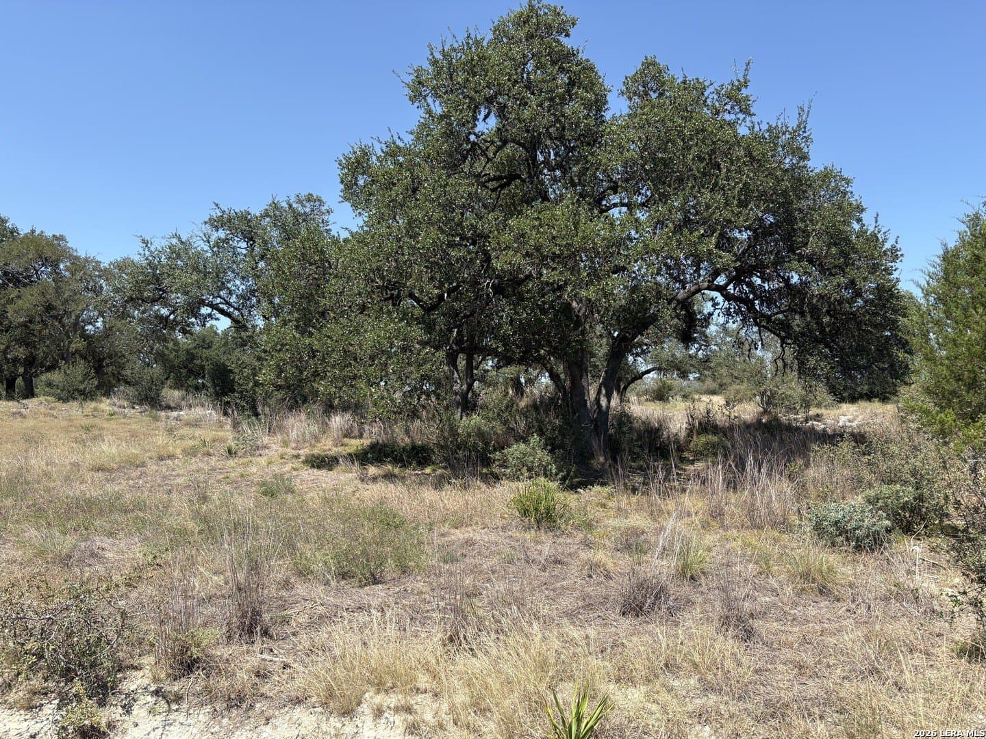 1.27 acres in Comal County - photo 8