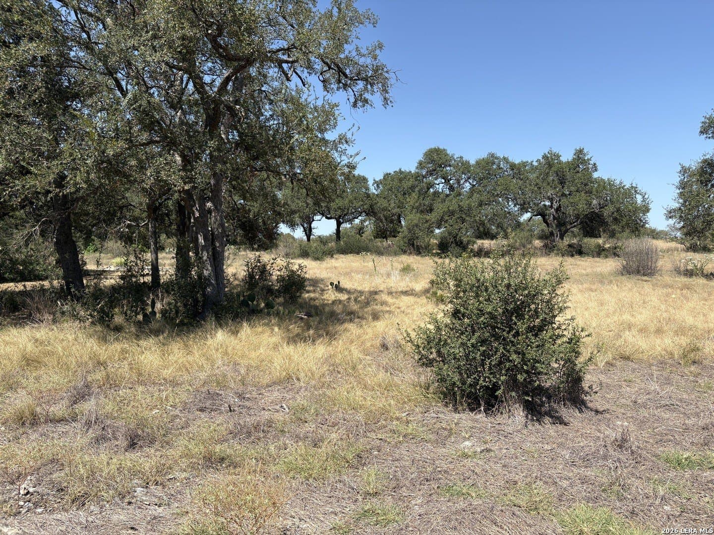 1.27 acres in Comal County - photo 7