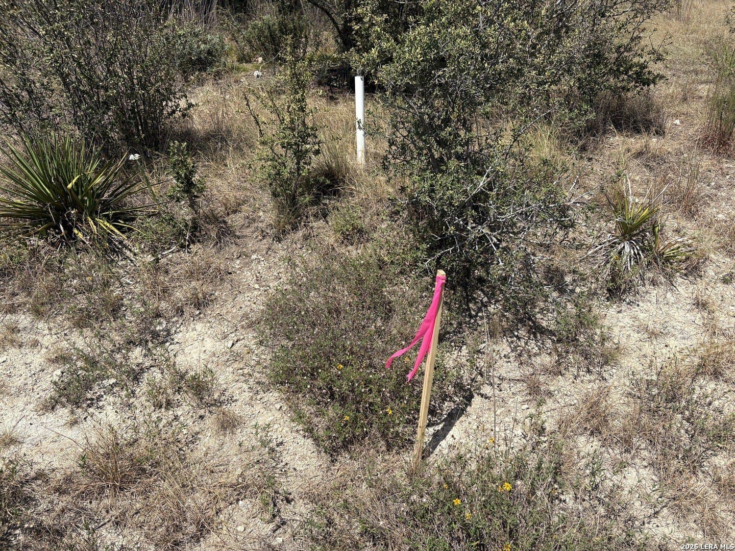 1.27 acres in Comal County - photo 11