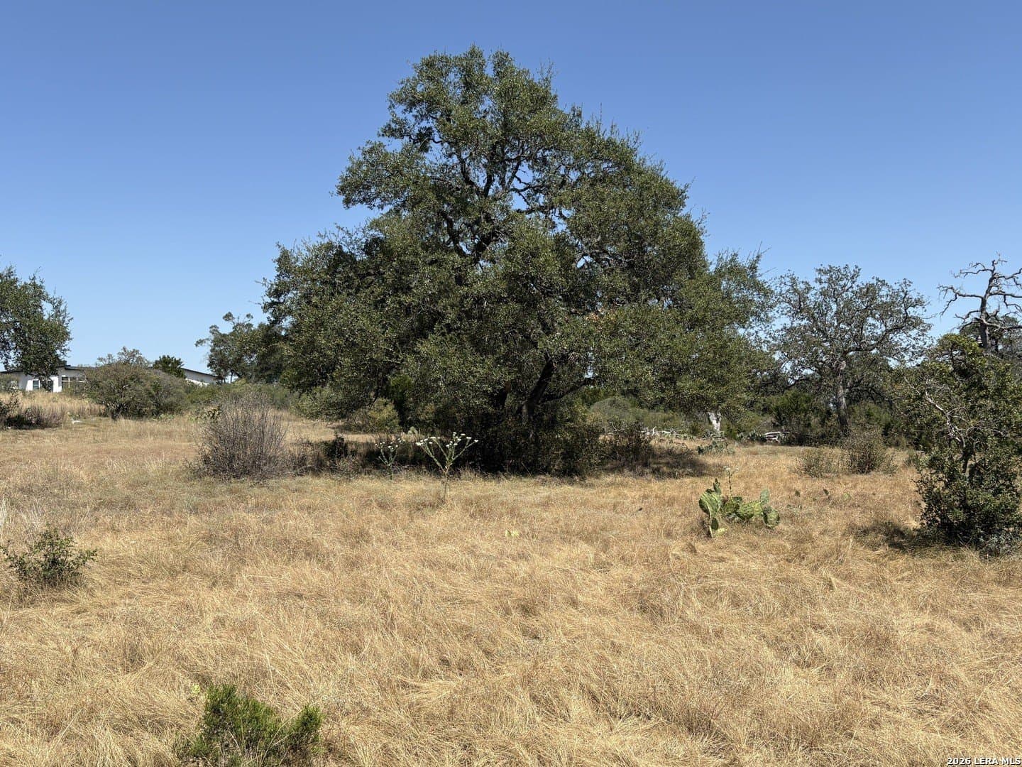 1.27 acres in Comal County - photo 3