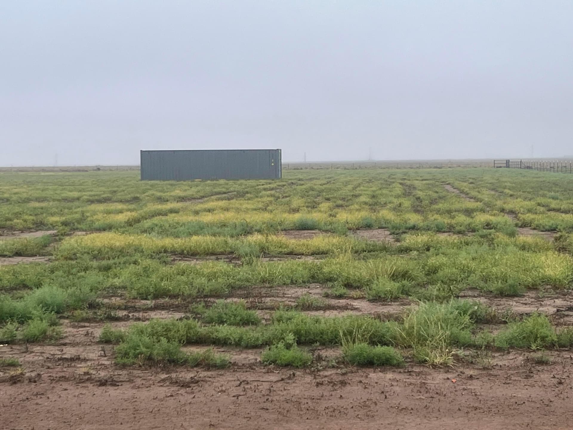 5 acres in Randall County - photo 2