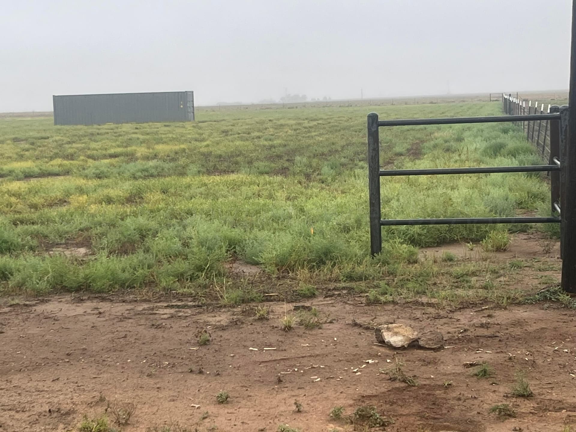 5 acres in Randall County