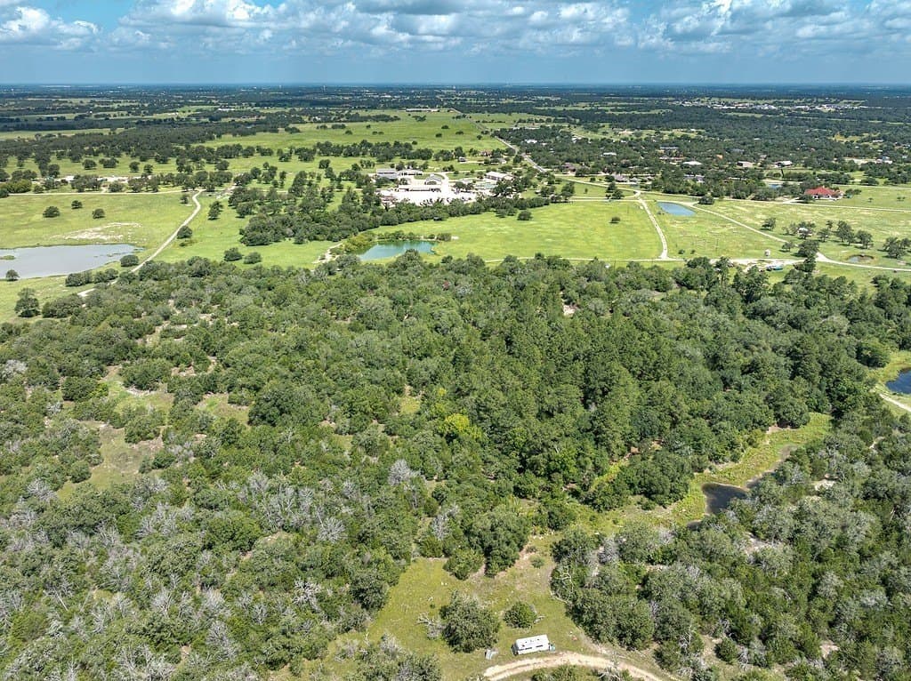 21 acres in Lee County gallery image 2