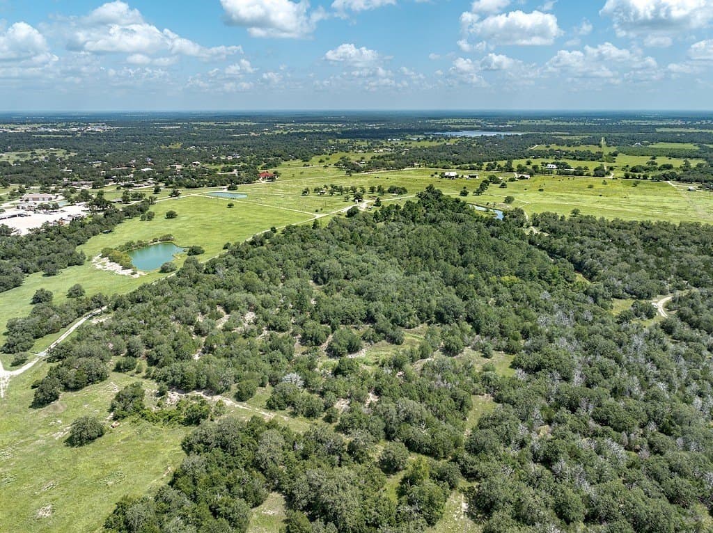 21 acres in Lee County gallery image 4