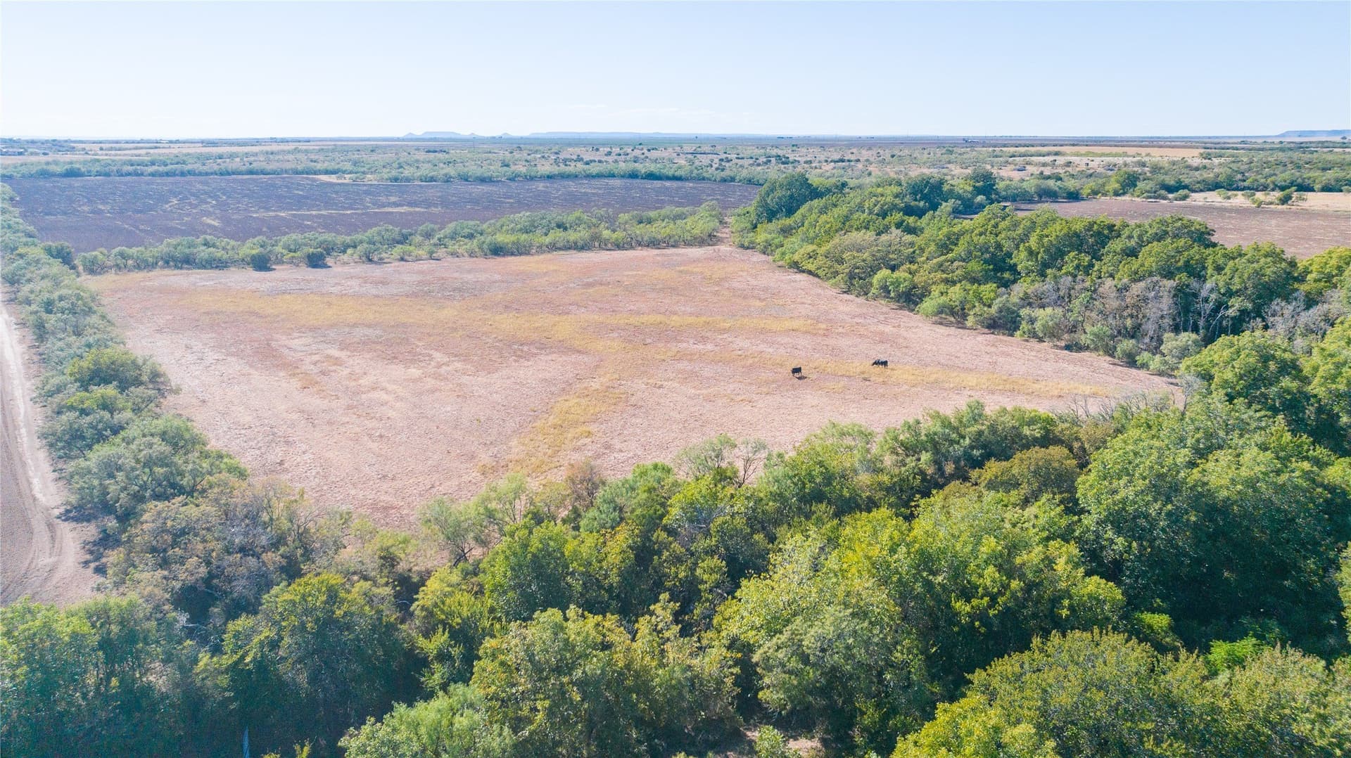 129.76 acres in Runnels County - photo 20