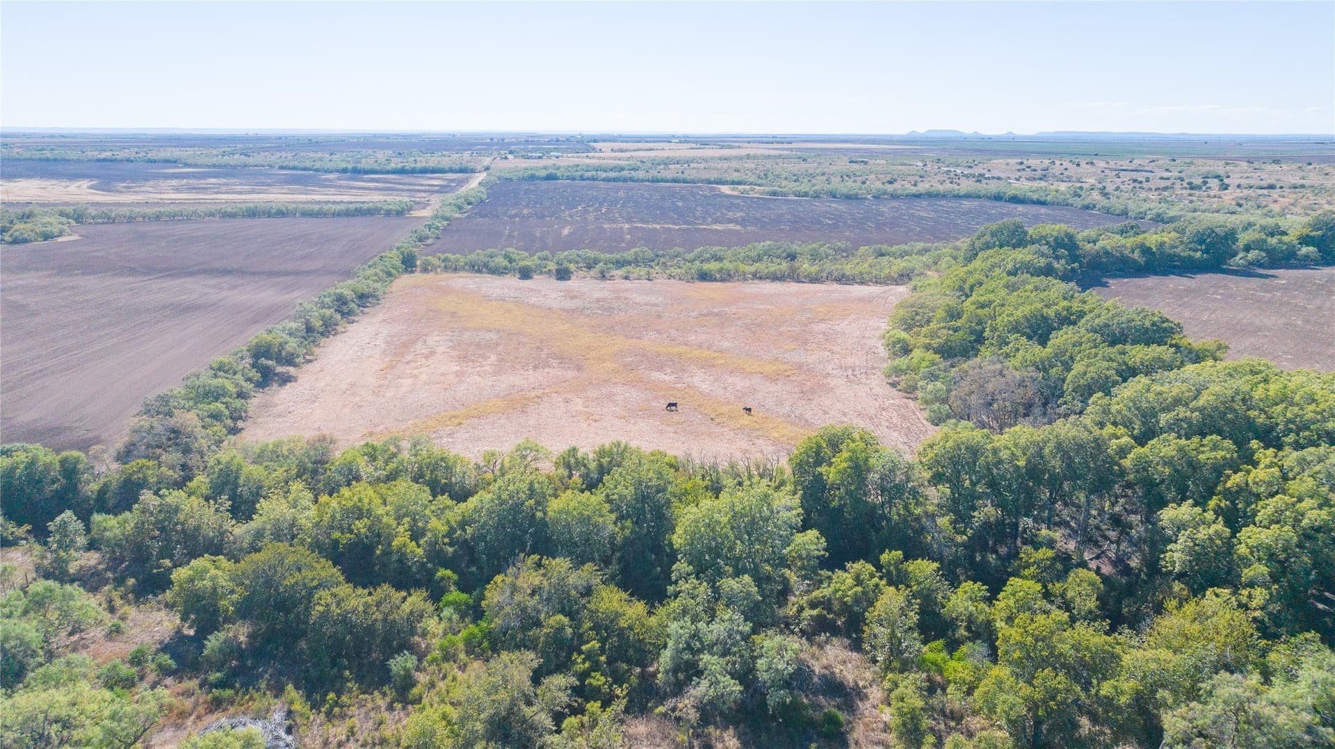 129.76 acres in Runnels County - photo 21
