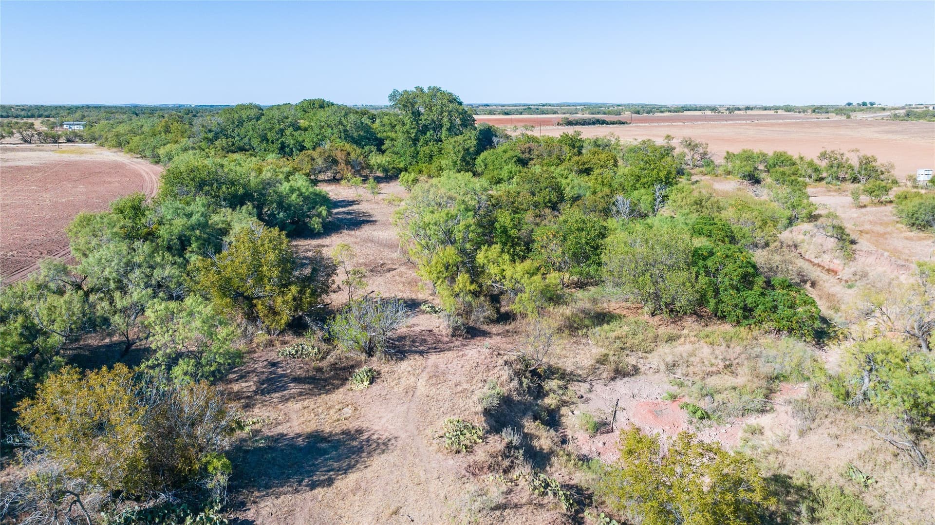 129.76 acres in Runnels County - photo 8