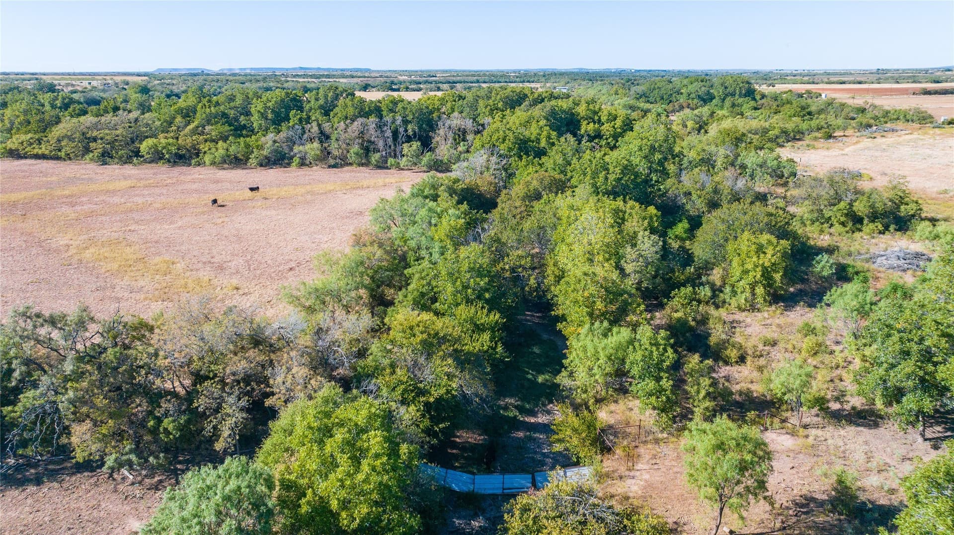 129.76 acres in Runnels County - photo 19