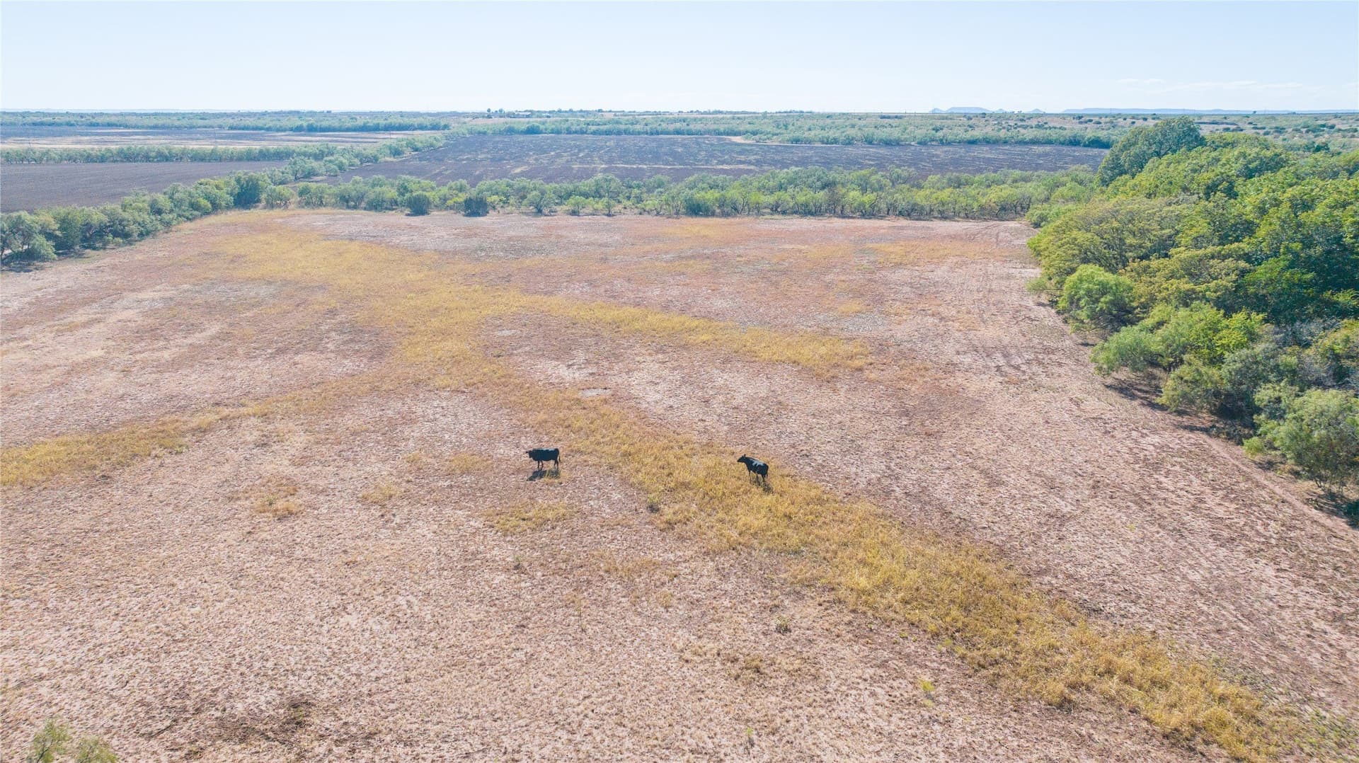 129.76 acres in Runnels County - photo 18