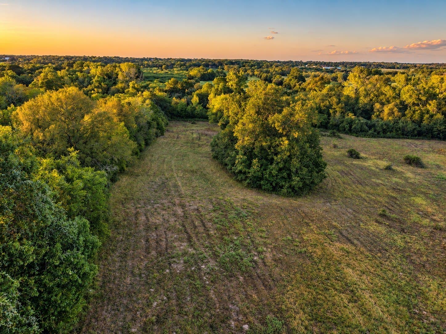 15.14 acres in Washington (TX) County - photo 8