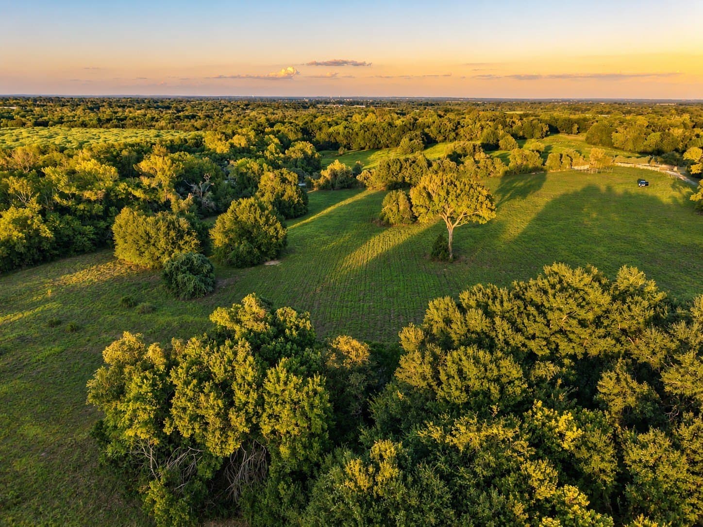 15.14 acres in Washington (TX) County - photo 11