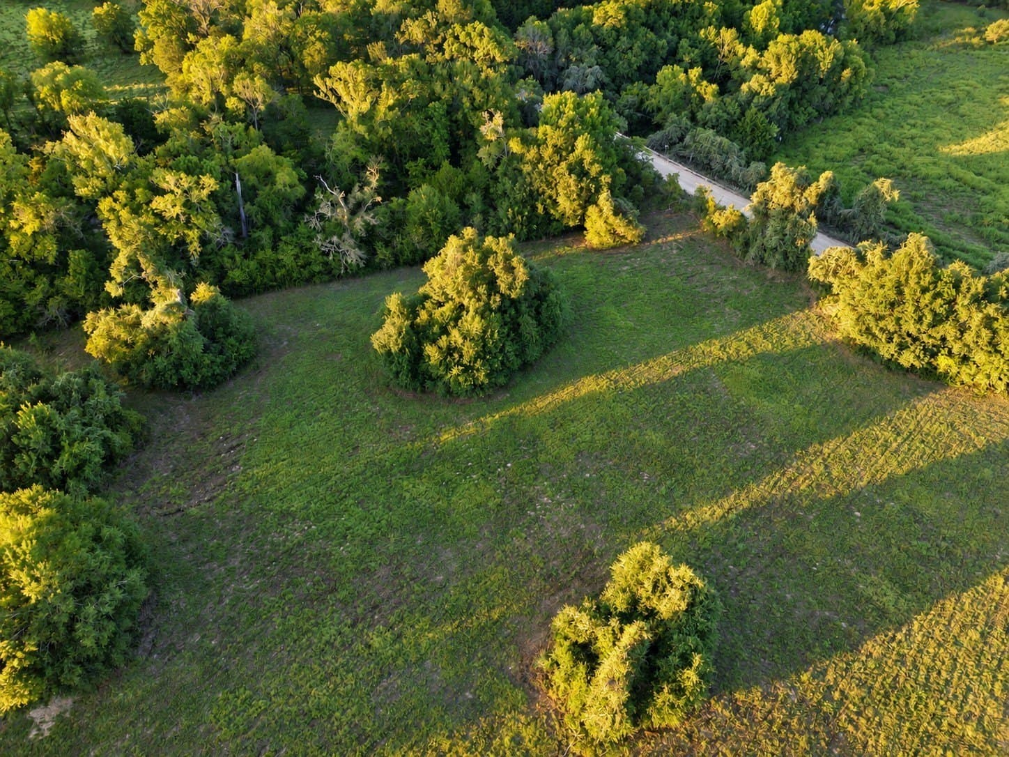 15.14 acres in Washington (TX) County - photo 2