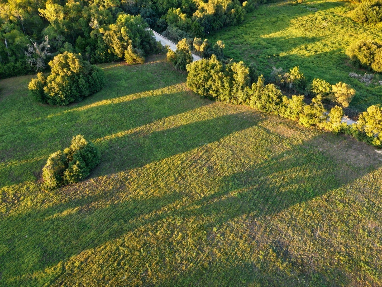 15.14 acres in Washington (TX) County - photo 9