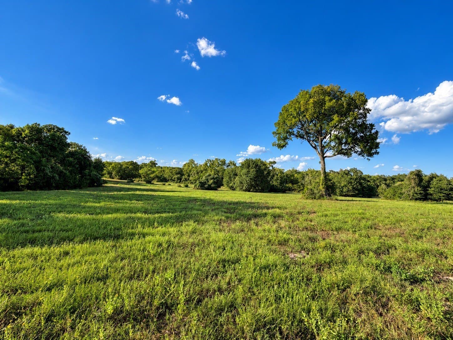 15.14 acres in Washington (TX) County - photo 4